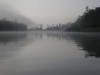 morning fog over Kinabantangan river