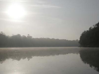 morning mist clearing over Kinabantangan river